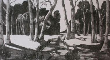 kopie-landschap-web