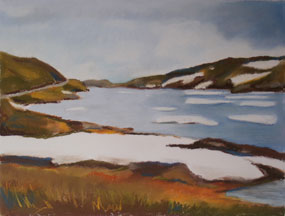 landschap Noorwegen